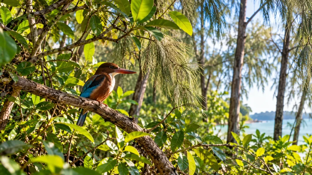 Bird among the coastal forest vegetation at Coney Island Park Singapore