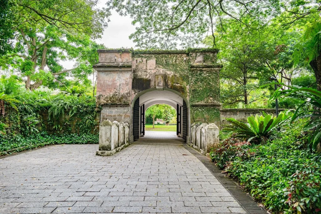 Green walking path surrounded by tropical trees at Fort Canning Park in Singapore
