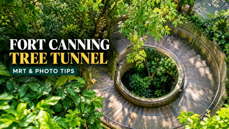 Fort Canning Tree Tunnel spiral staircase surrounded by lush greenery in Singapore