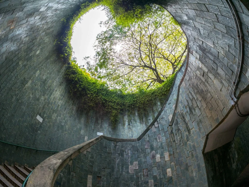 Spiral staircase at Fort Canning Tree Tunnel viewed from below toward the circular tree opening