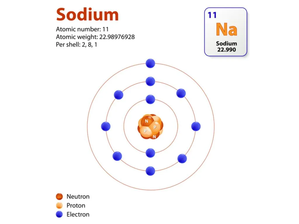 Sodium atom model showing three electron shells for Chemistry revision